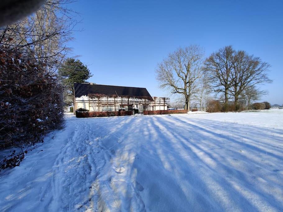 The Horst Cottage Holsbeek Exterior foto